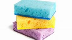 Kitchen Sponges