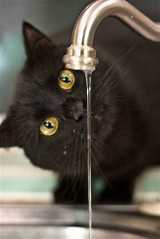 Kitchen Tap